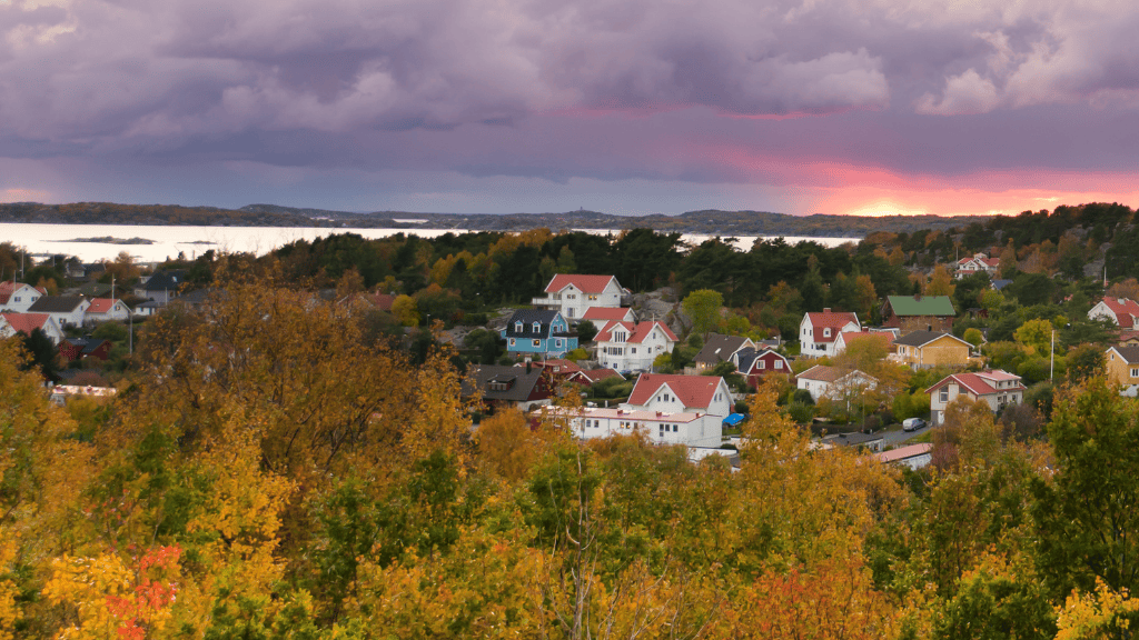 Vy över ett villaområde. Höstträd i förgrunden och solnedgång med havet i bakgrunden.