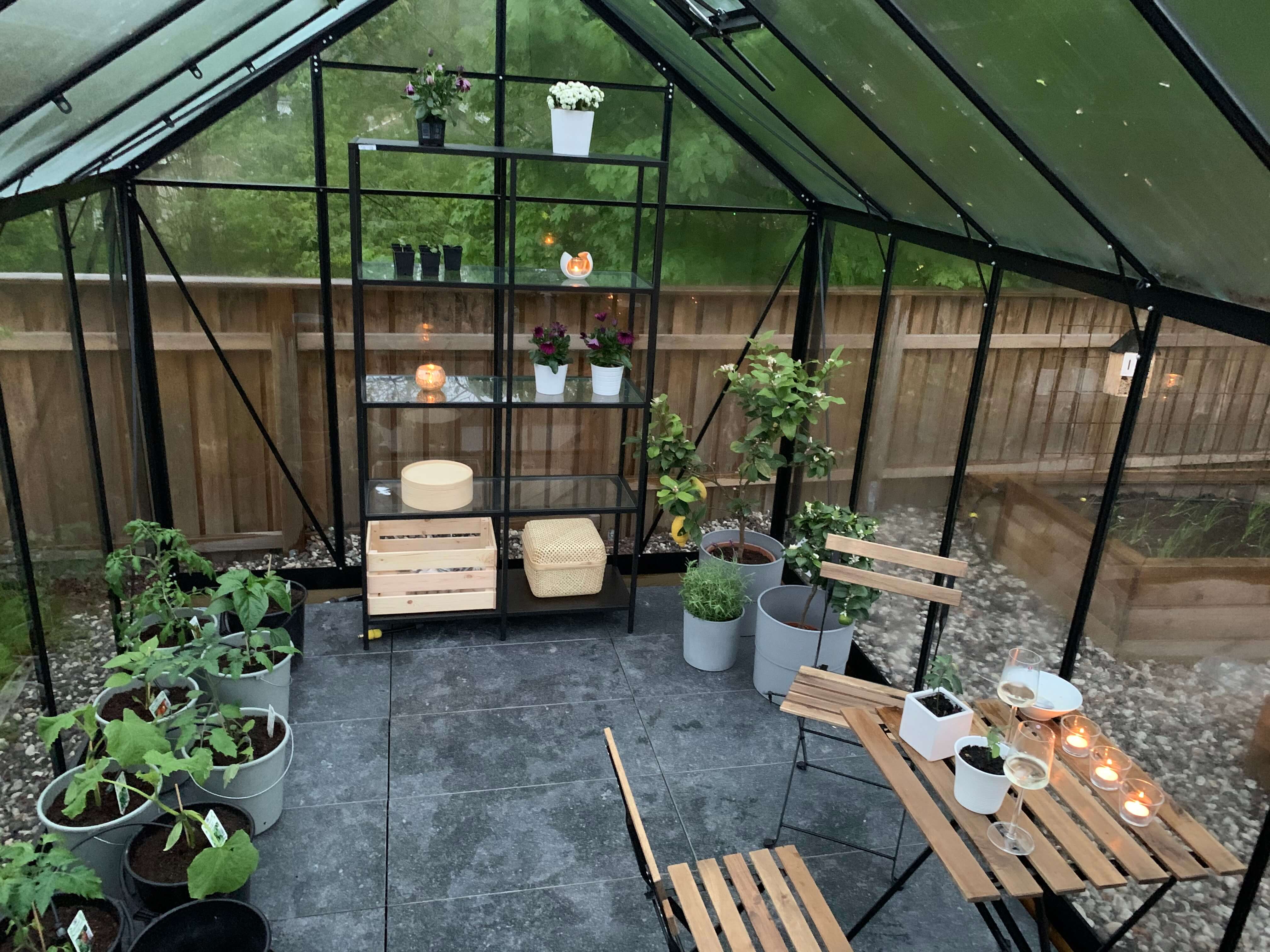 Växthus med tomatplantor och utomhusklinker