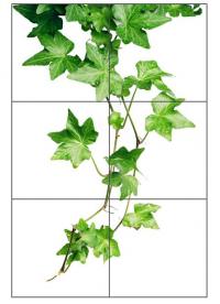 Tillverkarbild
