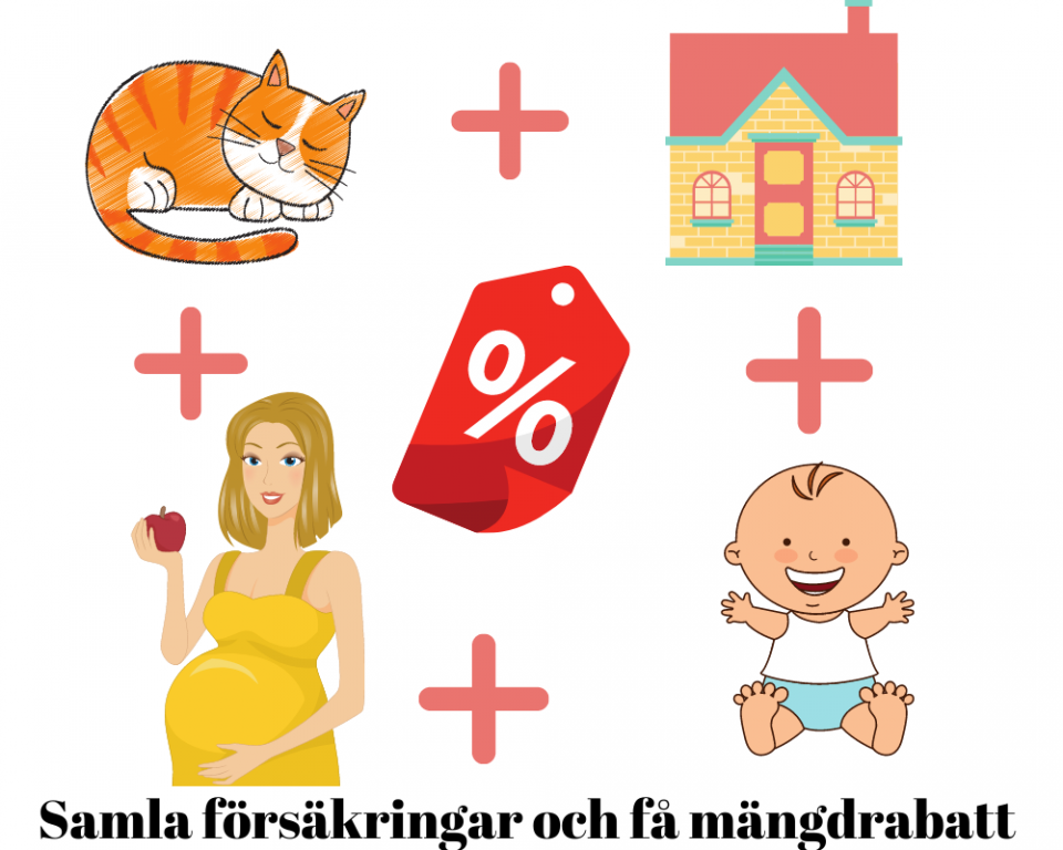 samla försäkringar 